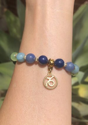 Capricorn Charm Bracelet Bloom by Shikhazuri 8mm
