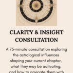 Clarity Insight Consult Shikhazuri thumb26